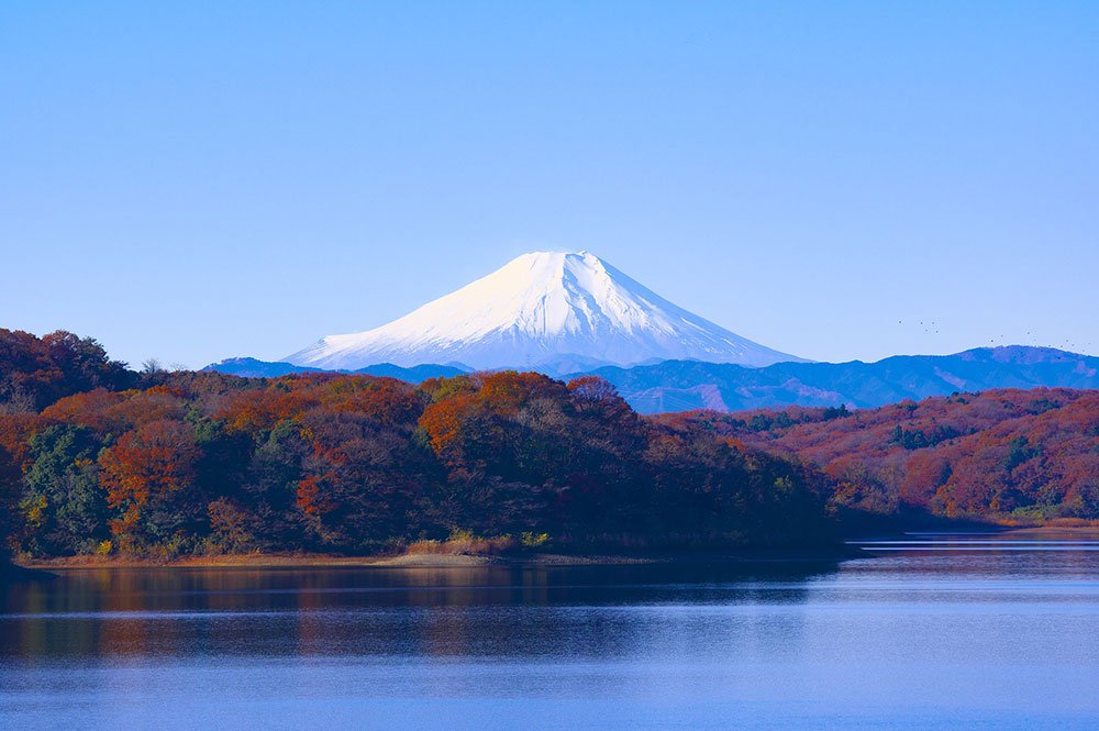Consigli utili per viaggiare in Giappone