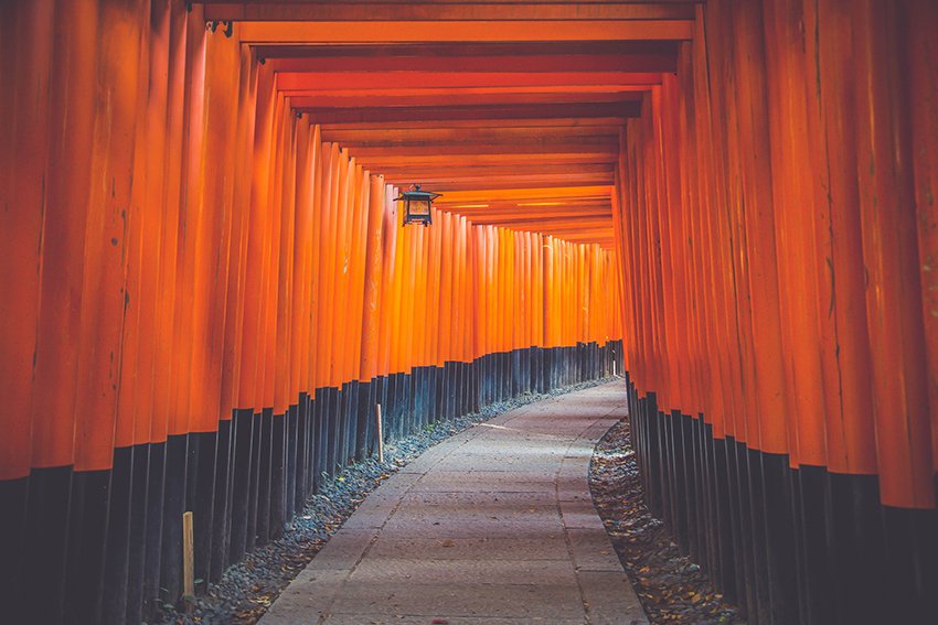 Un tunnel di torii rossi al santuario di Fushimi Inari